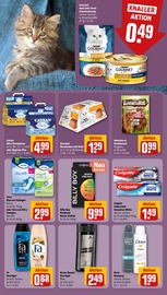 Katzenstreu Angebote im Prospekt "Dein Markt" von REWE auf Seite 25