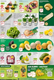Aktueller GLOBUS Prospekt mit Bananen, "Aktuelle Angebote", Seite 11