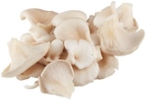 Bio Austernpilze Angebote von REWE Bio bei REWE Jena für 1,99 €