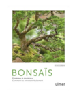 Bonsaï d’intérieur et d’extérieur - ULMER en promo chez Truffaut Bonsaï d’intérieur et d’extérieur - ULMER dans le catalogue Truffaut