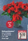 Weihnachtsstern Angebote bei E center Berlin für 2,99 €