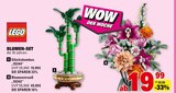Glücksbambus oder Blumenstrauß im Angebot bei Marktkauf in Lörrach Glücksbambus oder Blumenstrauß Angebote von LEGO bei Marktkauf Lörrach für 19,99 €