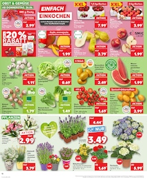 Kaufland Äpfel im Prospekt Kaufland Äpfel im Prospekt