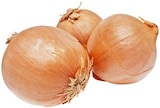 Speisezwiebeln im Angebot bei REWE in Wesel Speisezwiebeln Angebote von REWE Regional bei REWE Wesel für 0,79 €