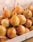 Oignon jaune à Intermarché Super dans Baud