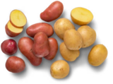 Aktuelles Franz. Gourmet-Kartoffeln Angebot bei Kaufland in Würzburg ab 1,79 €
