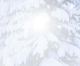 Aktuelle Smartphone Angebote bei expert in Cottbus Aktuelles Galaxy A36 5G Angebot bei expert in Cottbus ab 249,00 €