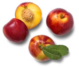 Angebot im Kaufland Malsch, Rhein-Neckar-Kreis Prospekt Kaufland Malsch, Rhein-Neckar-Kreis Prospekt mit im Angebot fĂŒr 2,49 âŹ
