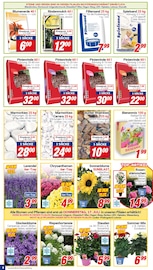 Blumenerde im CENTERSHOP Prospekt in Gelsenkirchen Aktueller CENTERSHOP Prospekt mit Blumenerde, "Da geht was.", Seite 8