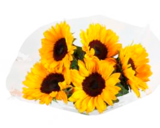 Sonnenblumen im Angebot bei EDEKA in Neumünster Sonnenblumen Angebote bei EDEKA Neumünster für 4,99 €