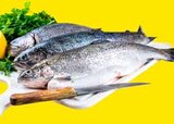 Frische Forellen Angebote bei WEZ Löhne für 1,11 €