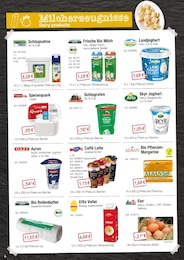 Hamberger Quark im Prospekt 