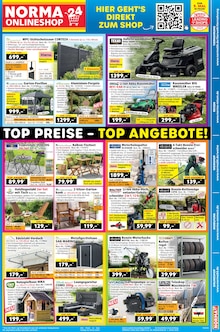 Teppich im Norma Prospekt "Mehr fürs Geld" mit 19 Seiten (Würzburg)