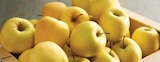 Promo Pommes à 1,59 € dans le catalogue Intermarché Super à Saint-Agathon