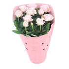 Plantes fleuries en promo chez Carrefour Metz à 5,99 €