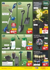 Solar-LED-Lampen im Netto Marken-Discount Prospekt in Berlin Aktueller Netto Marken-Discount Prospekt mit Solar-LED-Lampen, "Aktuelle Angebote", Seite 41