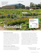 Aktueller Alnatura Prospekt mit Pflanzen, "Alnatura Magazin", Seite 37