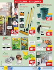 Dünger im Netto Marken-Discount Prospekt in Pinneberg Aktueller Netto Marken-Discount Prospekt mit Dünger, "Aktuelle Angebote", Seite 38