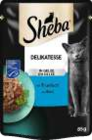 Katzen-Nassnahrung bei EDEKA Frischemarkt im Prospekt "" für 0,49 €