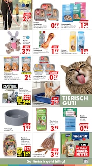 Katzenstreu im aktuellen Mäc-Geiz Prospekt (Berlin) Katzenstreu im Mäc-Geiz Prospekt "Aktuelle Angebote" mit 12 Seiten (Berlin)