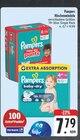 Baby-Dry Pants Angebote von Pampers bei E center Coburg für 7,79 €