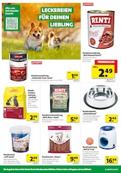 Hundefutter im Hagebaumarkt Prospekt in Amberg Aktueller Hagebaumarkt Prospekt mit Hundefutter, "Raus in den Garten? SO günstig geht das!", Seite 20