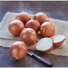 Oignon jaune - SIMPL dans le catalogue Carrefour