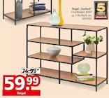 Regal "Seaford"  im aktuellen Segmüller Prospekt für 59,99 €