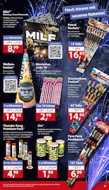 Aktueller Sonderpreis Baumarkt Prospekt mit Kinderspielzeug, "20 JAHRE VOLLER ÜBERRASCHUNGEN", Seite 15