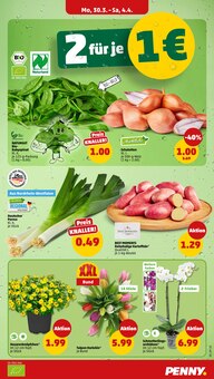 Zimmerpflanzen im aktuellen Penny Prospekt (Duisburg) Zimmerpflanzen im Penny Prospekt "Wer günstig will, muss Penny." mit 41 Seiten (Duisburg)