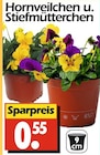 Hornveilchen u. Stiefmütterchen Angebote bei Wreesmann Hoyerswerda für 0,55 €