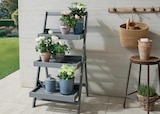 Aktuelle Blumentopf Angebote bei MS-Holzfachmarkt GmbH in Wiesbaden Aktuelles Blumenleiter 3-stufig Angebot bei MS-Holzfachmarkt GmbH in Wiesbaden ab 69,95 €