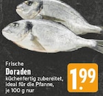 Frische Doraden im Angebot bei EDEKA in Kempen Frische Doraden Angebote bei EDEKA Kempen für 1,99 €