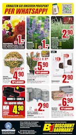 Rindenmulch im B1 Discount Baumarkt Prospekt in Koblenz Aktueller B1 Discount Baumarkt Prospekt mit Rindenmulch, "BESTPREISE DER WOCHE!", Seite 12