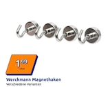 Magnethaken von Werckmann im aktuellen Action Prospekt für 1,99 €