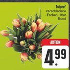 Aktuelles Tulpen Angebot bei EDEKA in Chemnitz ab 4,99 €