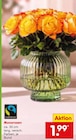 Moosrosen im Angebot bei Netto Marken-Discount in Darmstadt Moosrosen Angebote bei Netto Marken-Discount Darmstadt für 1,99 €