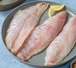 tegut Zeil - Rotbarschfilet natur Angebot im Prospekt Rotbarschfilet natur bei tegut im Zeil Prospekt für 2,79 €