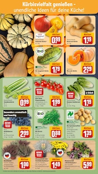 Pflanzen im aktuellen REWE Prospekt (Wolfsburg) Pflanzen im REWE Prospekt "Dein Markt" mit 14 Seiten (Wolfsburg)