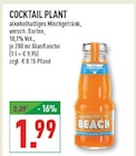 COCKTAIL PLANT im Angebot bei Marktkauf in Bergisch Gladbach COCKTAIL PLANT Angebote bei Marktkauf Bergisch Gladbach für 1,99 €