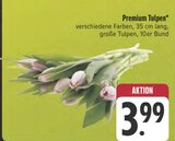 Premium Tulpen Angebote bei E center Amberg für 3,99 €