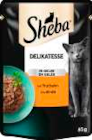 Delikatesse von Sheba im aktuellen EDEKA Prospekt für 0,49 €