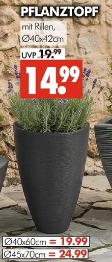 35 Blumentopf Angebote in Cottbus - jetzt gnstig kaufen!