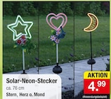 Solar-Neon-Stecker Stern im Angebot bei Zimmermann in Mainz Solar-Neon-Stecker Stern Angebote bei Zimmermann Mainz für 4,99 €