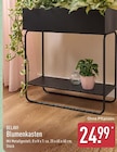 Aktuelles Blumenkasten Angebot bei ALDI Nord in Essen ab 24,99 €