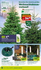 Aktueller Pflanzen Kölle Prospekt mit Weihnachtsbaumständer, "Ich mach's mir schön!", Seite 8