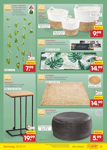 Teppichboden im Netto Marken-Discount Prospekt "Aktuelle Angebote" mit 59 Seiten (Cottbus)