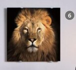 Glasbild „Lion II“ von Eart im aktuellen XXXLutz Möbelhäuser Prospekt für 