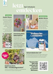 Obstbaum im Intratuin Hildesheim Prospekt in Peine Aktueller Intratuin Hildesheim Prospekt mit Obstbaum, "Herbst in voller Blüte", Seite 7
