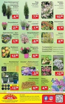 Obstbaum im Zimmermann Prospekt "Aktuelle Angebote" mit 10 Seiten (Bremen)